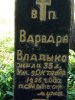 IMG_20170610_121028.jpg