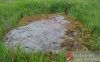 DSC_0762.jpg