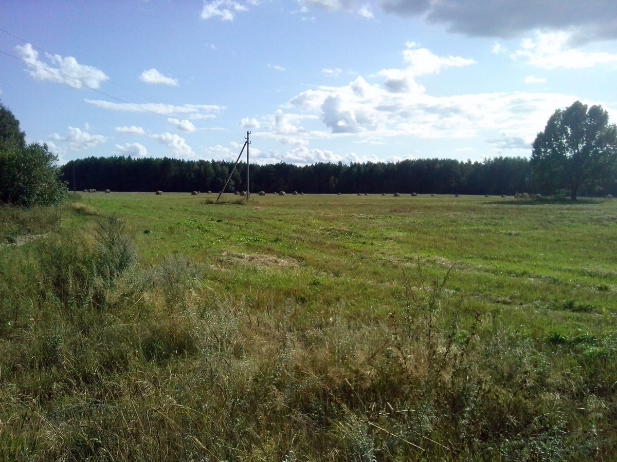 Фальковская осень. Без Пушкина :)